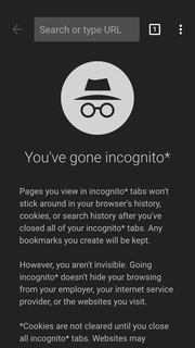 Chrome – браузер от Google screenshot