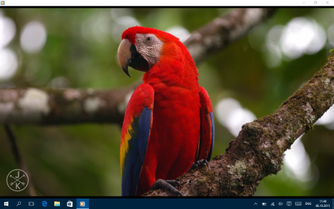 Обзор DEXP Ursus KX110: с Windows налегке