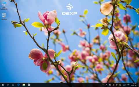 Обзор DEXP Ursus KX110: с Windows налегке